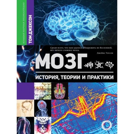 Brain. History, theory and practice