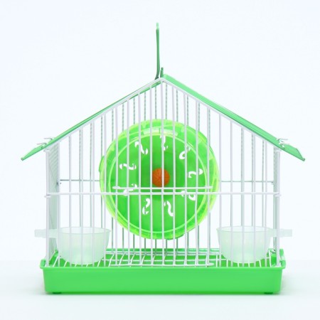 A cage for rodents equipped RT-2T, 22 x 16 x 20 SMA, green (packing 30 pcs)-1