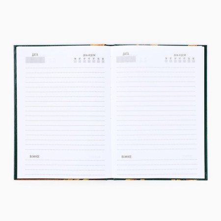 Diary A5, 80 liters, a solid cover "The most beloved teacher"-2