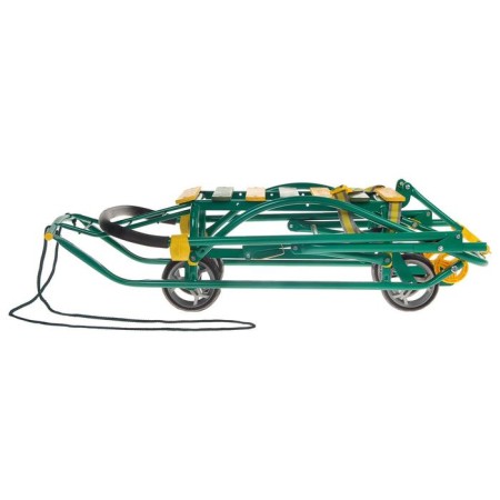 Sled Nikki 3, green color-2