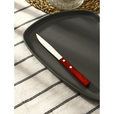 Stainless steel knife 