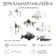 Interior "fish" stickers, mirror, decor on the wall, set 7 pcs, pcs 15 x 16.3 cm