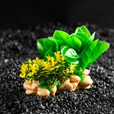 Aquarium artificial aquarium plant on a stone under stone, 12 x 12 x 6 cm