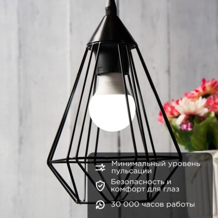 LED LED pear A60 11.5W E27 1093LM 6500K Cold light Rexant-1