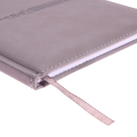 Universal diary for grades 1-11, 48 Velvet sheets, hard cover, artificial leather, thermoting, liesse, block 70 g/m2, light gray-4