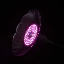 Lamp phytoswater 
