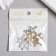 Decor for creativity Metal "Star with Pearls" MIX 2.1x2.2 cm