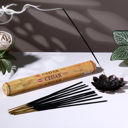 Incense hem "Cedar cedar", 20 sticks in packaging, hexagon