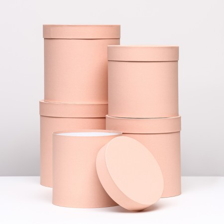 Set of round boxes 5 in 1 "peach", 25 x 25 - 19 x 19 cm-1