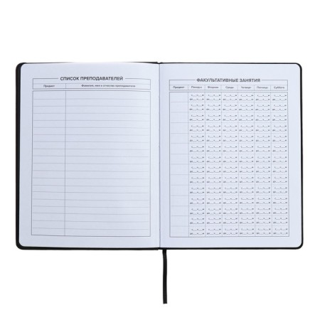 Universal Diary Grade 1-11, 48 sheets "Girl", hard cover of artificial leather, lies, universal cheat sheet, block 80 g/m2-4