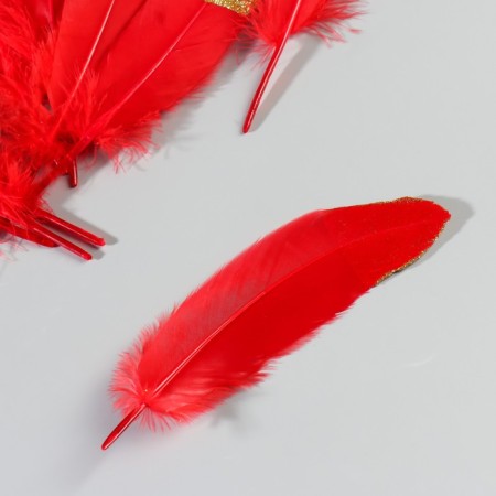 A set of goose feathers 15-20 cm, 10 pcs, red with a golden crumb-3