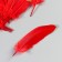 A set of goose feathers 15-20 cm, 10 pcs, red with a golden crumb