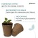 Peat pot, 250 ml, 8 × 8 cm, Greengo