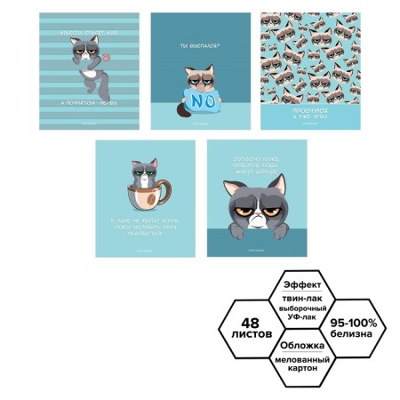 Notebook of 48 sheets in the Calligrata Top Cat "Cat Mem", cover coated cardboard, glossy lamination, selective twin-lame, offset unit, whitewash 95%, mix