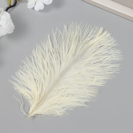Decorative ostrich feather "Light yellow" h = 15-20 cm-1