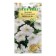 Petunia flowers ampelous "Snow Queen F1", granules, a test tube, 7 pcs
