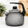 Bon Appetit kettle, 3 l, induction, with whistle, color gray color