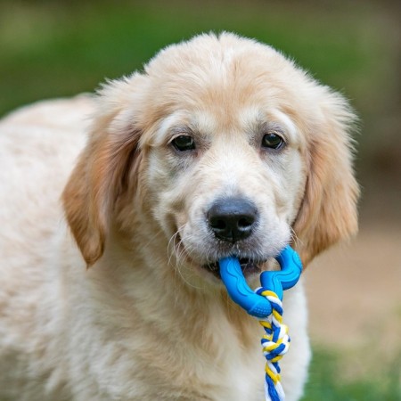 Toy "heart with a rope", 7 cm, blue-6