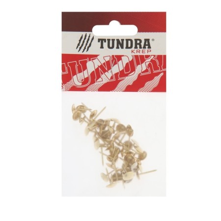 Tundra nails, decorative, 8x15 mm, gold, 50 pcs-5