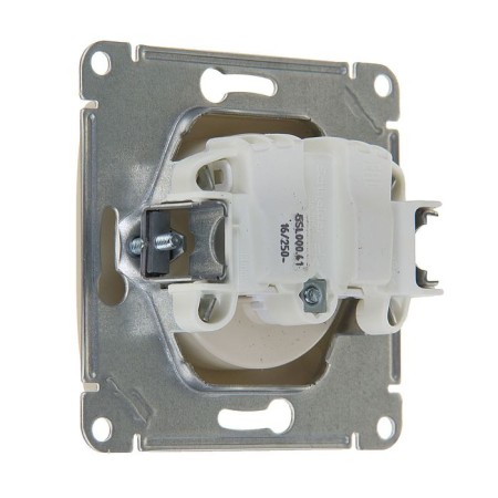 SEG SE GLOSSA, 16 A, 250 V, built -in, without salary, IP20, beige, GSL000241-2