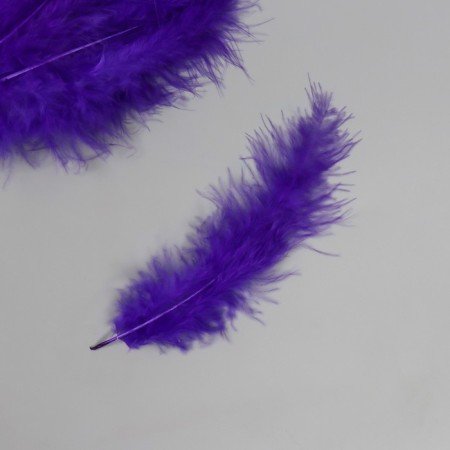 Pen decorative goose down "purple" set 40 pcs h = 10-15 cm-1