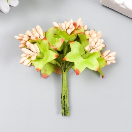 Flowers for decorating "Jasminovid oxen" 1 bouquet = 10 flowers peach 9.5 cm