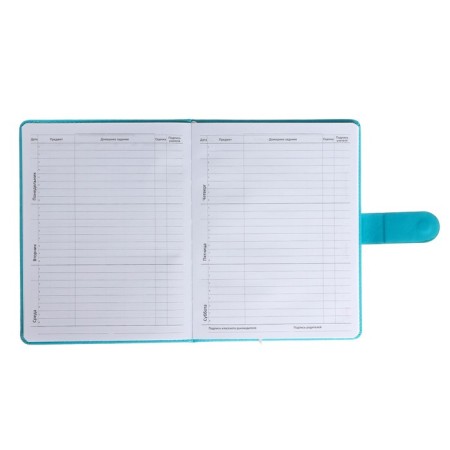 Universal Panda Friends 1-11 Diary, firm covering with foam rubber, artificial leather, lies, block 80 g/m2-6