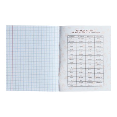 Subject note Calligrata Top "School Style", 48 sheets in a cage English, with reference material, plastic cover, offset unit-4