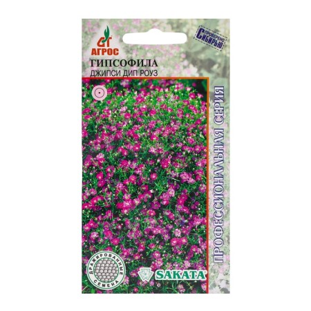 Gypsophyla seeds jeepsi DIP Rose 5pcs*Multider