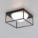 Ceiling chandelier Mantra Desigual, E27, 3x20W, 400x400x200 mm, black color black