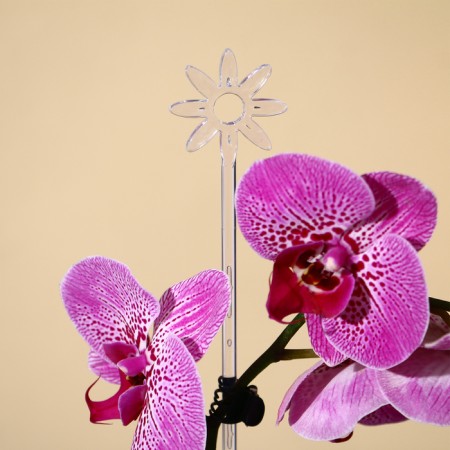 Support for orchids, h = 44 cm, plastic, transparent, mix-3