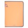 A4 zipper folder for the A4 zipper, Erichkrause "Diagonal Neon", up to 250 sheets, mix