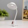 Sconces in the socket "Zion" LED 2W white 10x6x26.5 cm