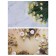 Photophone bilateral paper 300 gr "tulips and roses" 57x87 cm