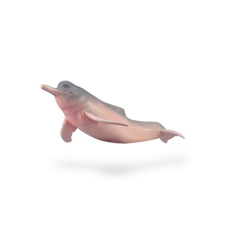 Figure "Dolphin Amazon", m