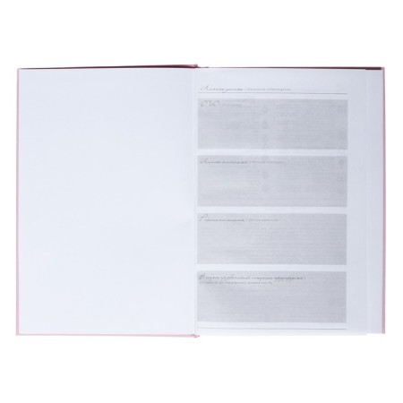 Diary of Leduced A5, 80 sheets of "flowing", solid binding 7BC, lamination of software velvetez, foil embossing, block 65g/m2-3