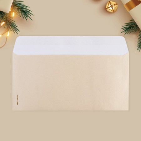 A set of gift envelopes "Happy New Year", 10 pieces, embossing, 22 x 11 cm, New Year-12
