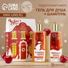 Gift set of cosmetics, shower gel 250 ml and hair shampoo 250 ml, Winter Melody by Ural Lab