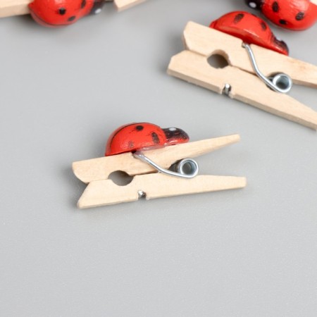 Decor for creativity wood "clothespin with God's cow" set of 15 pcs 1.5x1 cm-2