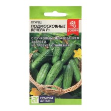 Seeds of the cucumber 