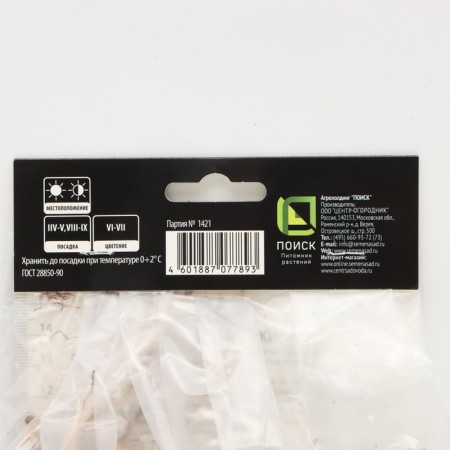 Iris Japanese light et Don, rr I, 1 pc, spring 2025-2