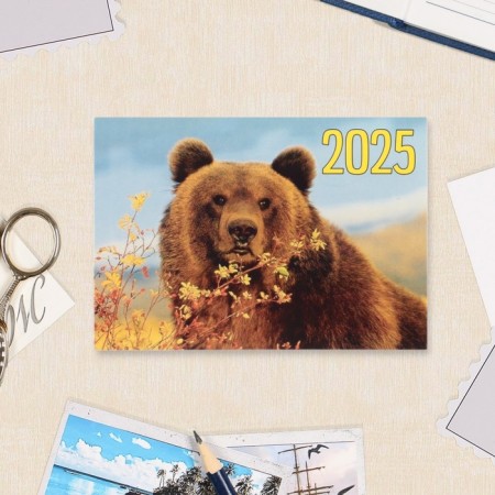 Pocket calendar "Gossimvolika" 2025, 7x10 cm, mix-2