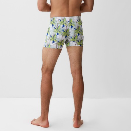 Bathing panties men's minku "palm trees", river 50-2