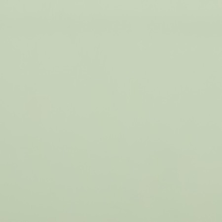 Film for flowers matte, "wishes", 58x58cm, green-3