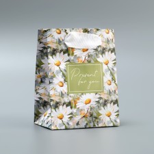 Gift laminated package, packaging, Pressent, 9 x 12 x 6.5 cm