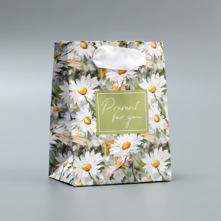 Gift laminated package, packaging, Pressent, 9 x 12 x 6.5 cm