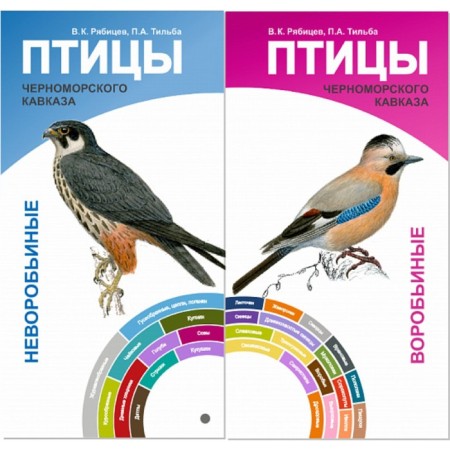 Birds of the Black Sea Caucasus. Sparrow and unprecedented. Fan-expander. Ryabikov V., Tilba P.