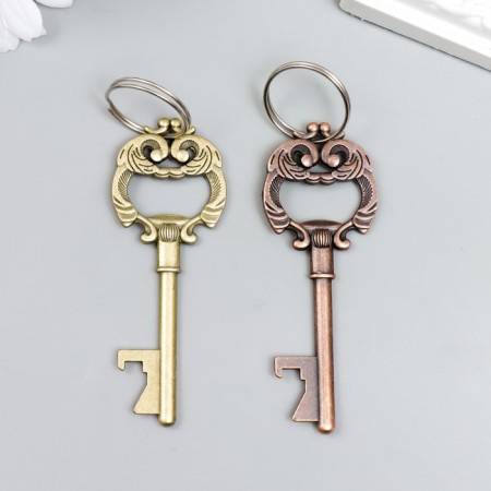 Metal keychain "Key with lush leaves" mix 8x3 cm-3