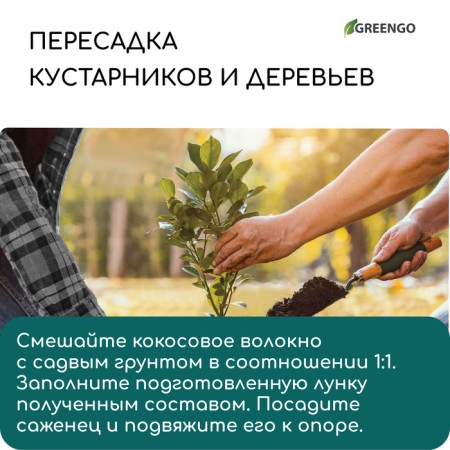 Coconut fiber, for mulching, 4 l, Greengo-6