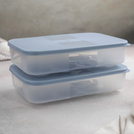 A set of containers for eggs, 2 pcs, 22.5 × 15 × 7.5 cm, color mix